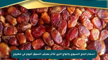 أسعار البلح السيوي وأنواع أخرى تتأثر بعرض السوق اليوم في مطروح